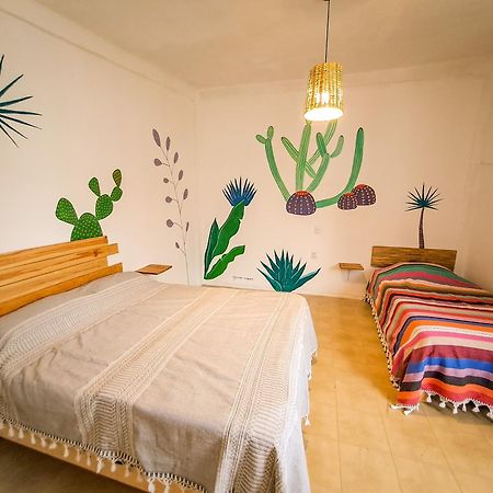 Oaxaca Hostel Casa Maguey מראה חיצוני תמונה