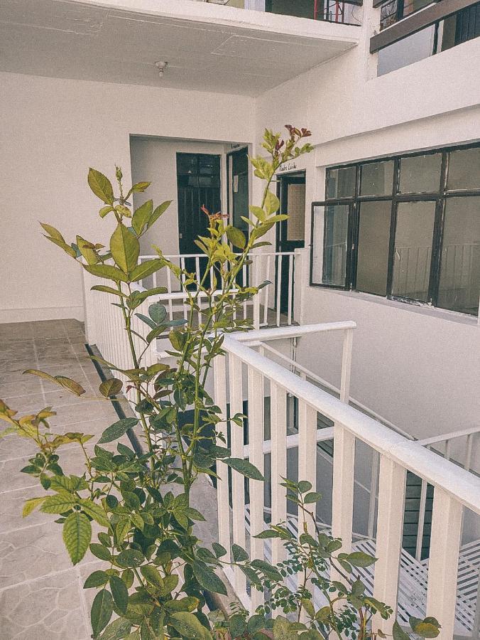 Oaxaca Hostel Casa Maguey מראה חיצוני תמונה