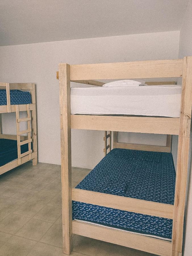 Oaxaca Hostel Casa Maguey מראה חיצוני תמונה