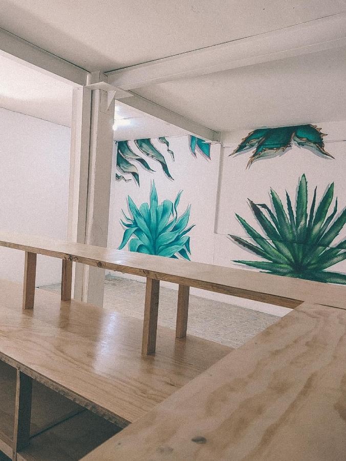 Oaxaca Hostel Casa Maguey מראה חיצוני תמונה