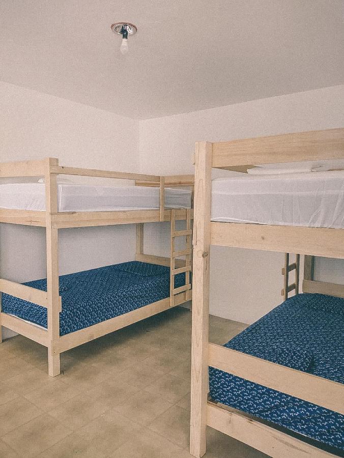 Oaxaca Hostel Casa Maguey מראה חיצוני תמונה