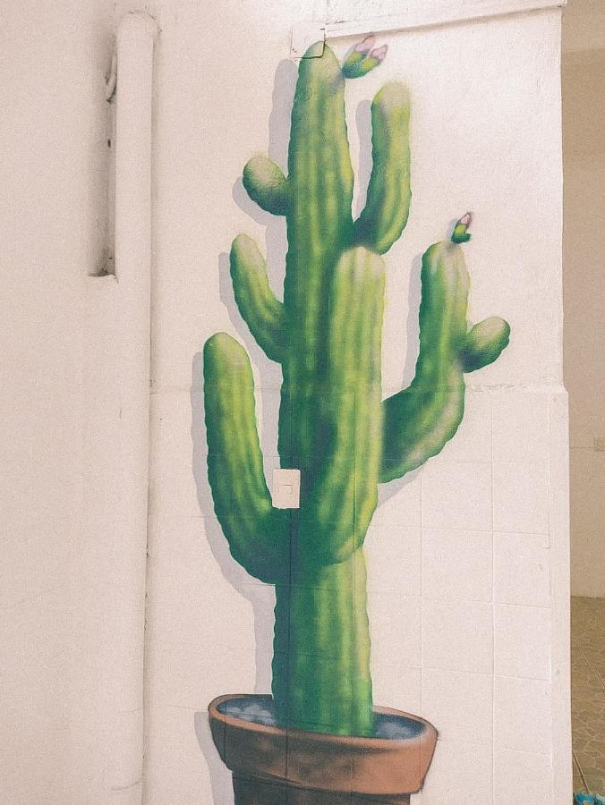 Oaxaca Hostel Casa Maguey מראה חיצוני תמונה