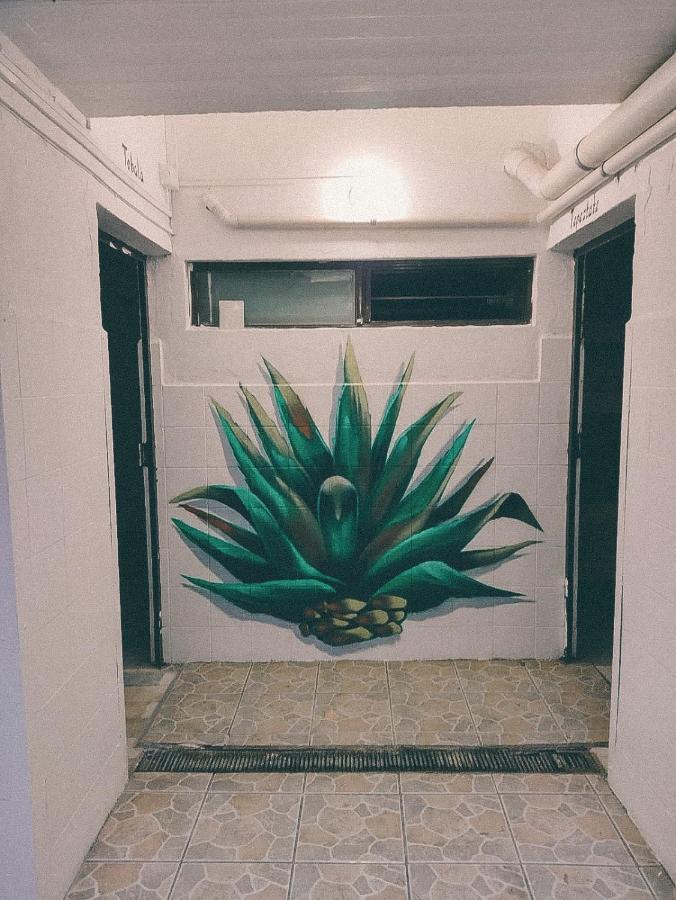 Oaxaca Hostel Casa Maguey מראה חיצוני תמונה