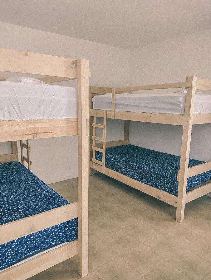 Oaxaca Hostel Casa Maguey מראה חיצוני תמונה