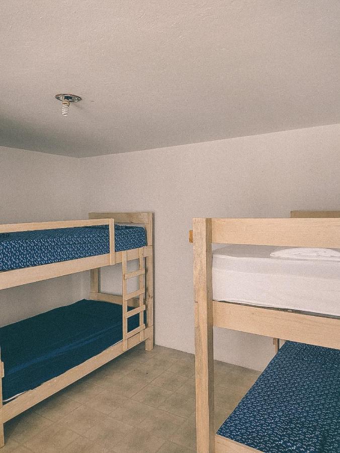 Oaxaca Hostel Casa Maguey מראה חיצוני תמונה