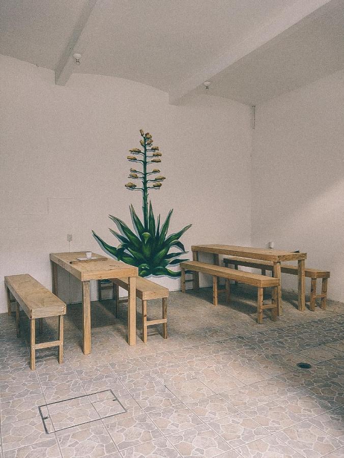 Oaxaca Hostel Casa Maguey מראה חיצוני תמונה