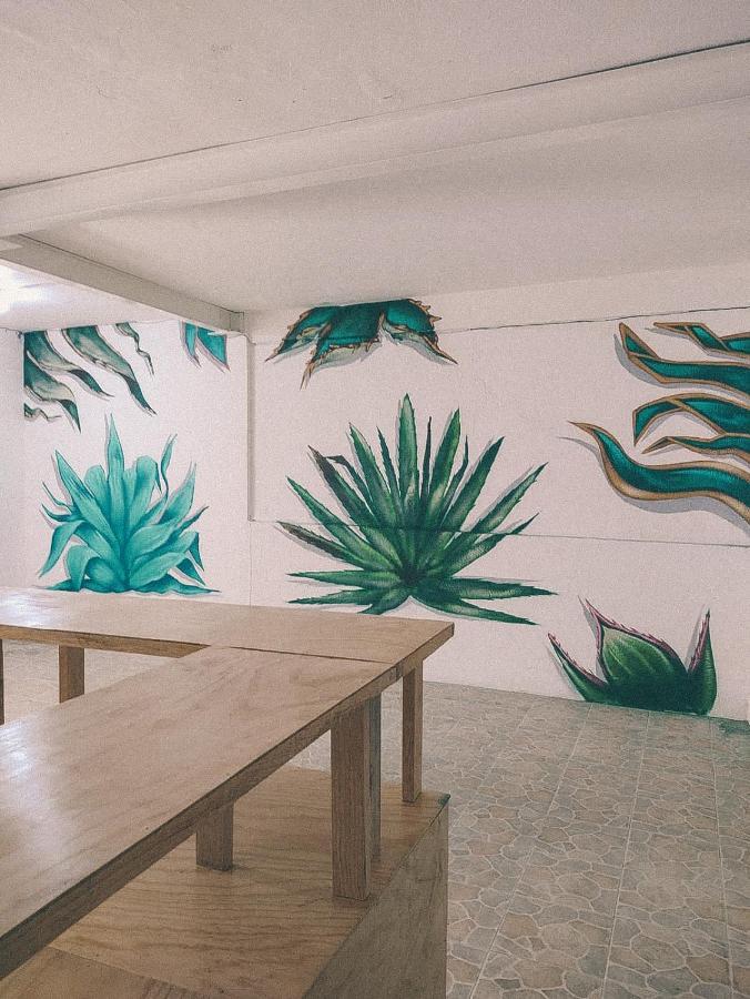 Oaxaca Hostel Casa Maguey מראה חיצוני תמונה