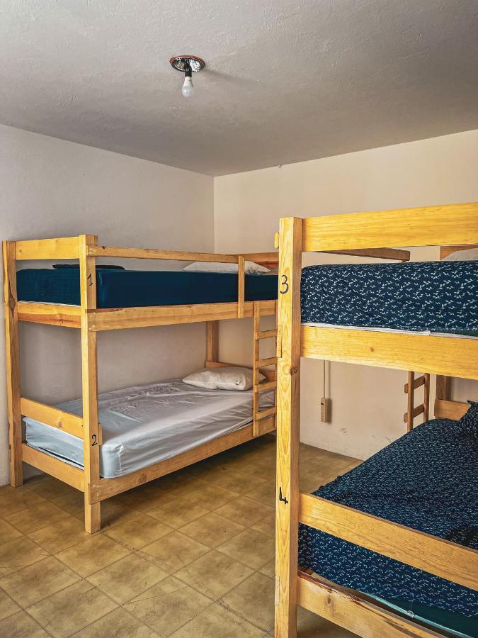 Oaxaca Hostel Casa Maguey מראה חיצוני תמונה