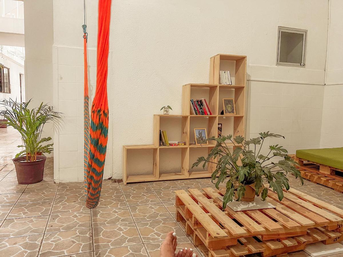 Oaxaca Hostel Casa Maguey מראה חיצוני תמונה