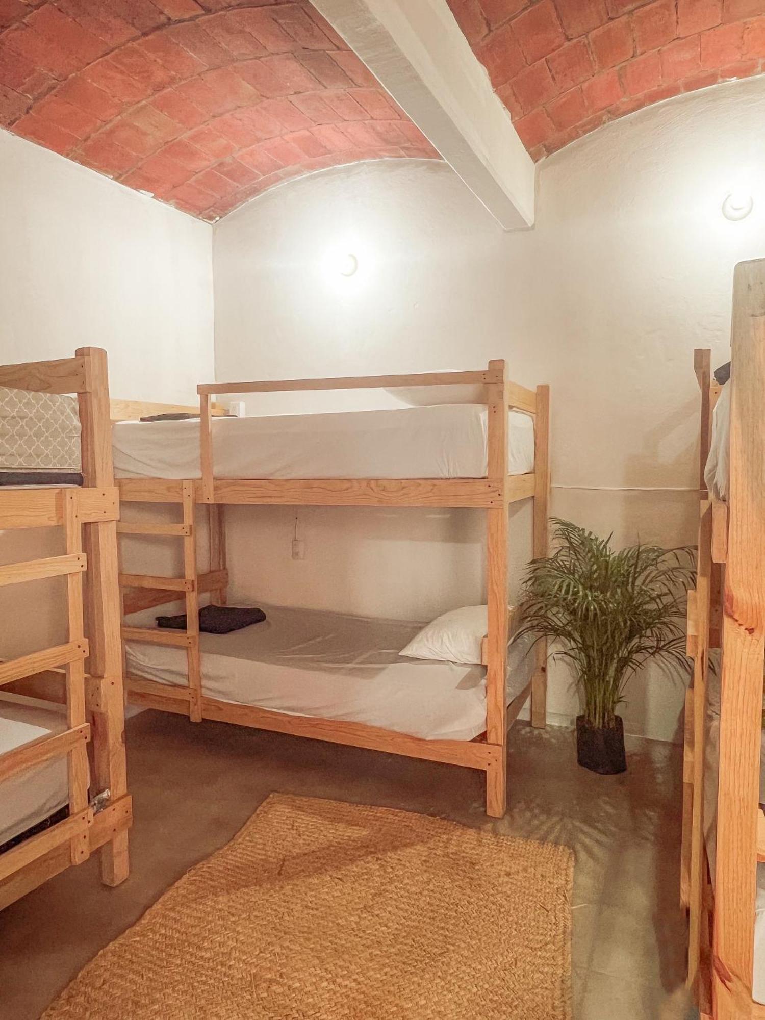 Oaxaca Hostel Casa Maguey מראה חיצוני תמונה