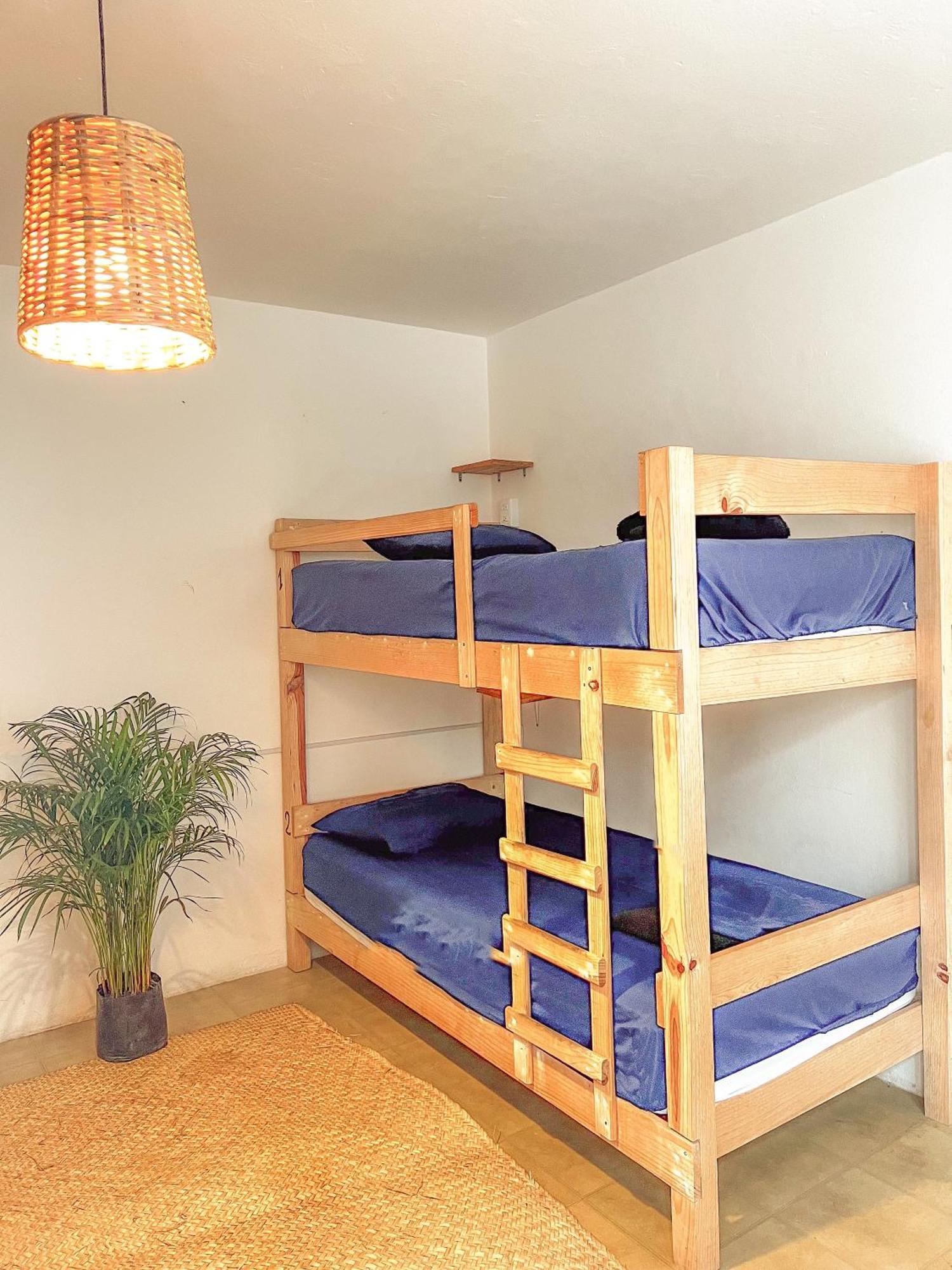 Oaxaca Hostel Casa Maguey מראה חיצוני תמונה