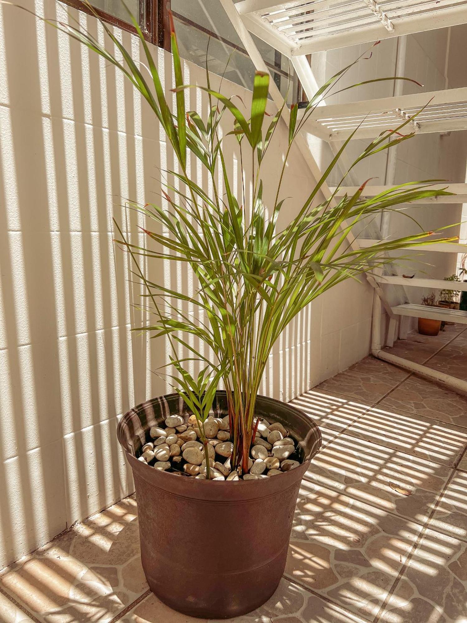 Oaxaca Hostel Casa Maguey מראה חיצוני תמונה