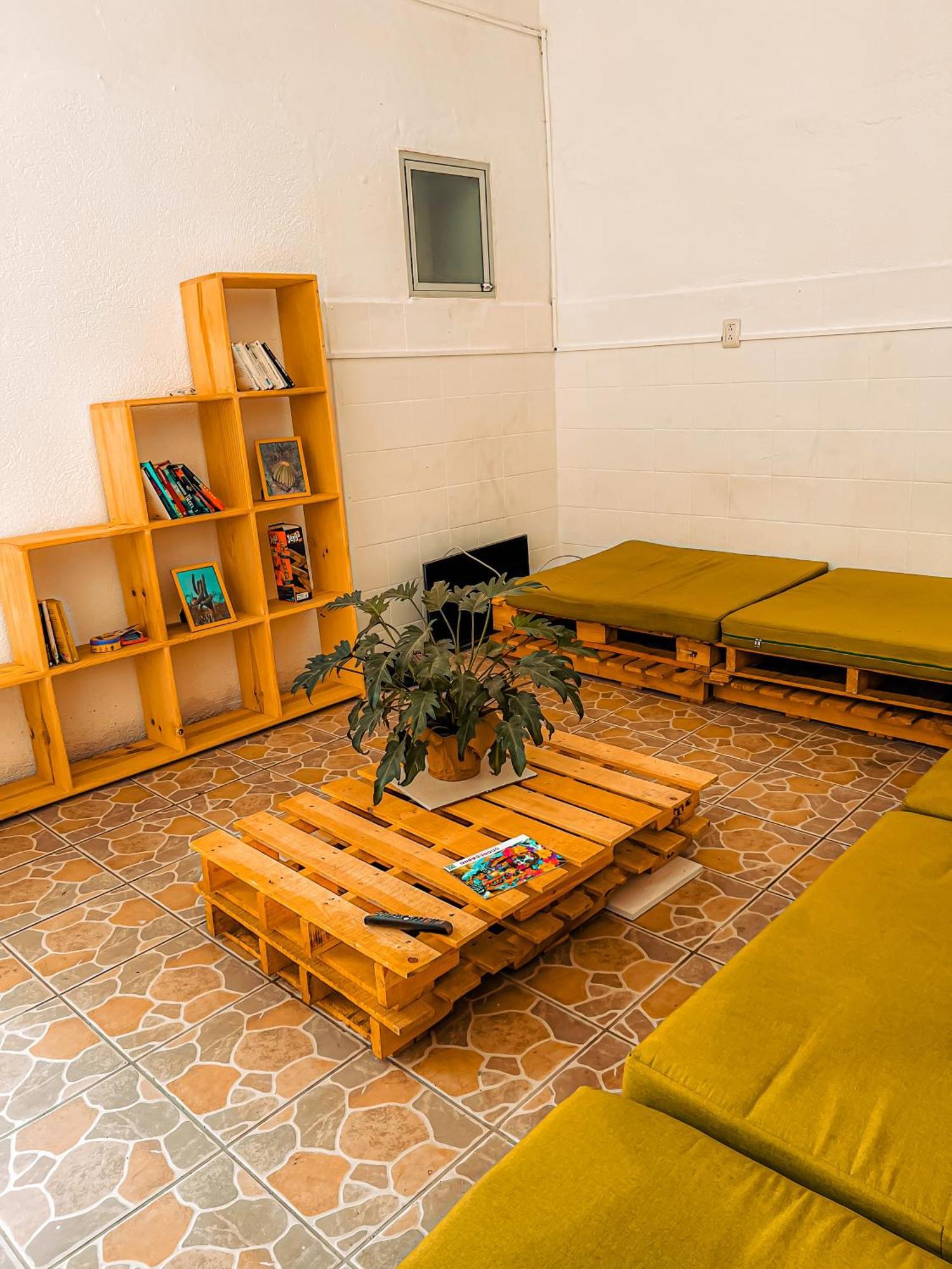 Oaxaca Hostel Casa Maguey מראה חיצוני תמונה