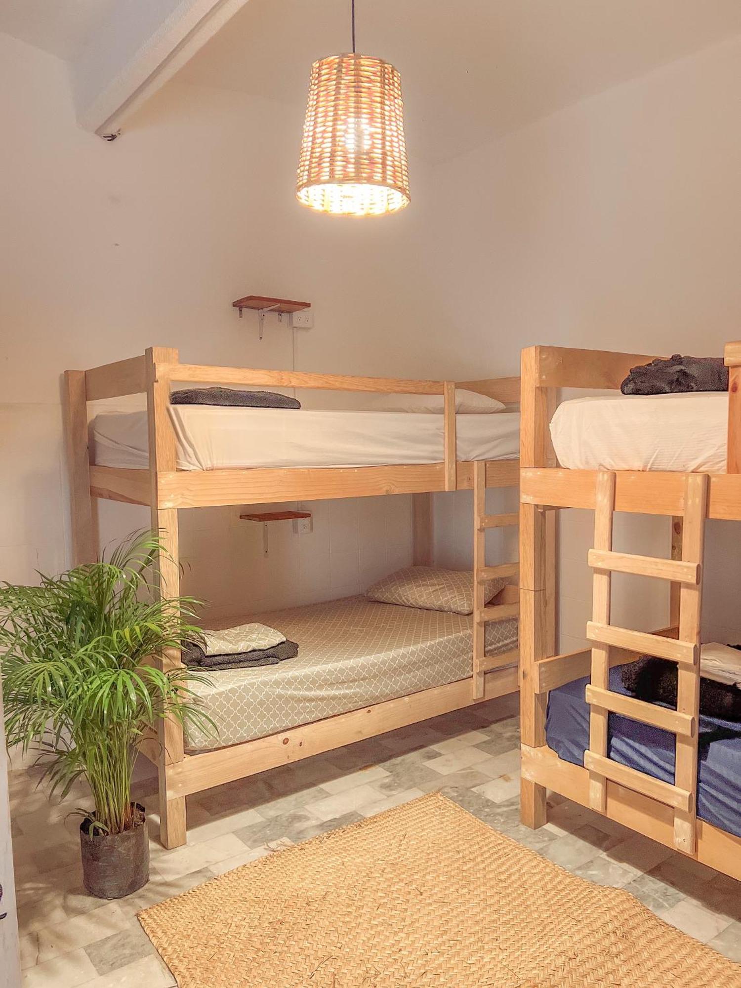 Oaxaca Hostel Casa Maguey מראה חיצוני תמונה