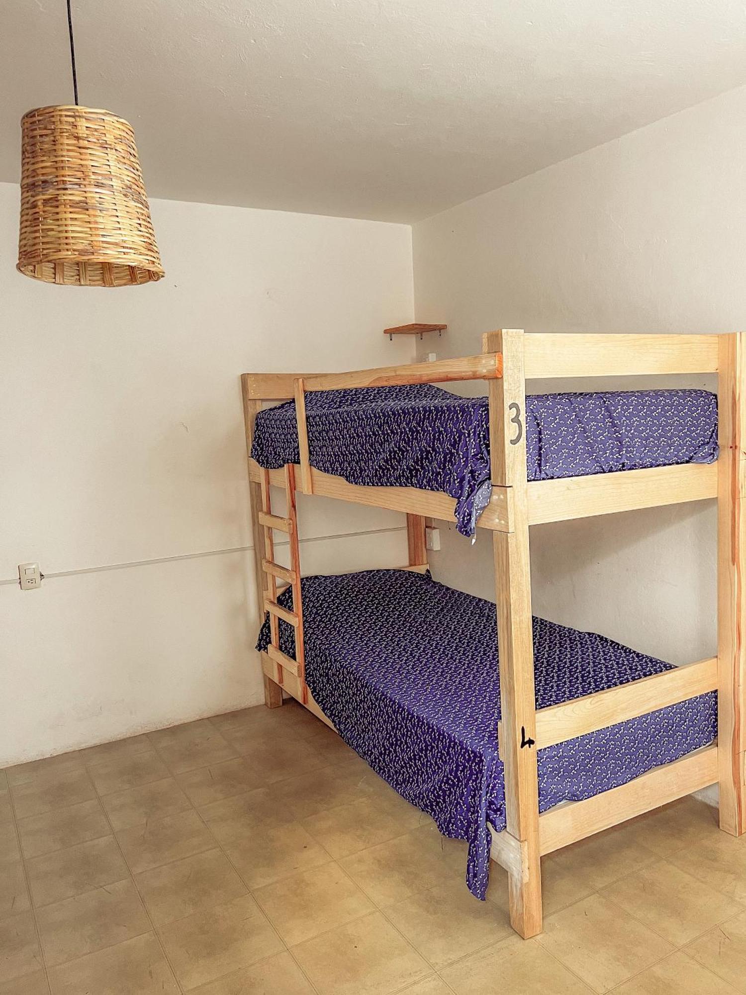 Oaxaca Hostel Casa Maguey מראה חיצוני תמונה